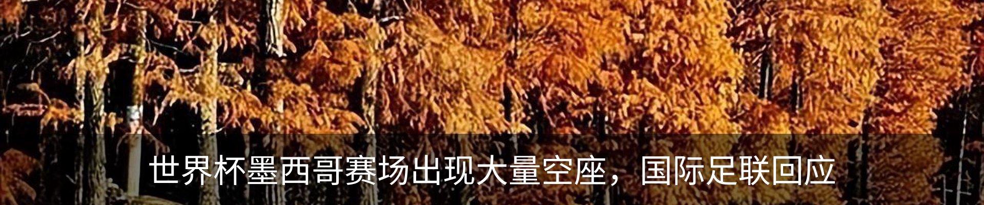 新闻中心